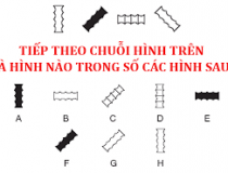 Tiếp theo chuỗi hình là hình nào trong số các hình sau?,đố vui IQ,đố vui iq có đáp án,đố vui hình ảnh