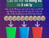 Bạn có 10 đồng xu và 3 cái ly. Bạn có thể để các đồng xu vào các ly sao cho mỗi ly đều chứa số đồng xu là số lẻ hay không?,đố vui IQ,đố vui iq có đáp án,đố vui hình ảnh