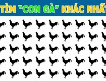 Tìm con gà khác biệt?,đố vui IQ,đố vui iq có đáp án,đố vui hình ảnh