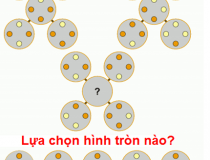 Lựa chọn hình tròn phù hợp ở dấu hỏi chấm?,đố vui IQ,đố vui iq có đáp án,đố vui hình ảnh