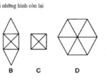 Hình nào khác với những hình còn lại?,đố vui IQ,đố vui iq có đáp án,đố vui hình ảnh