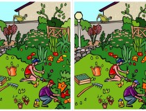 Tìm những điểm khác biệt giữa hai hình,đố vui IQ,đố vui iq có đáp án,đố vui hình ảnh