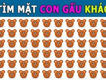 Tìm mặt con gấu khác,đố vui IQ,đố vui iq có đáp án,đố vui hình ảnh