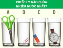 Chiếc ly nào chứa nhiều nước nhất?,đố vui IQ,đố vui iq có đáp án,đố vui hình ảnh