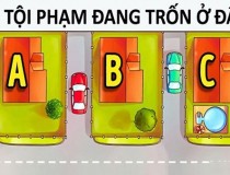 Phán đoán xem tên tội phạm đang trốn ở đâu?,đố vui IQ,đố vui iq có đáp án,đố vui hình ảnh