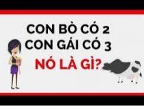 Con bò có 2, con gái có 3. Nó là gì?,đố vui IQ,đố vui iq có đáp án,đố vui hình ảnh