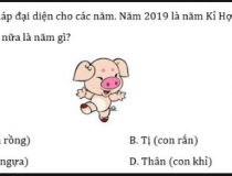 Có 12 con giáp đại diện cho các năm, năm 2019 là năm Kỷ Hợi,đố vui IQ,đố vui iq có đáp án,đố vui hình ảnh