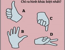 Chỉ ra hình khác biệt nhất?,đố vui IQ,đố vui iq có đáp án,đố vui hình ảnh