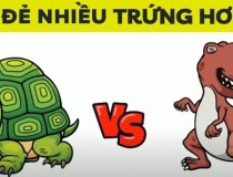 Rùa hay khủng long, con nào đẻ trứng nhiều hơn?,đố vui IQ,đố vui iq có đáp án,đố vui hình ảnh