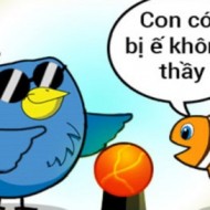 Hình ảnh mã số 652,đuổi hình bắt chữ,bắt chữ đuổi hình
