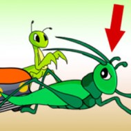 Hình ảnh mã số 693,đuổi hình bắt chữ,bắt chữ đuổi hình