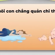 Hình ảnh mã số 2717,đuổi hình bắt chữ,bắt chữ đuổi hình