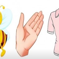 Hình ảnh mã số 2843,đuổi hình bắt chữ,bắt chữ đuổi hình