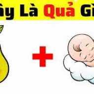 Hình ảnh mã số 2869,đuổi hình bắt chữ,bắt chữ đuổi hình