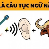 Hình ảnh mã số 2871,đuổi hình bắt chữ,bắt chữ đuổi hình