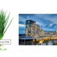 Hình ảnh mã số 2882,đuổi hình bắt chữ,bắt chữ đuổi hình