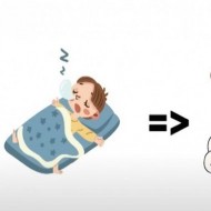 Hình ảnh mã số 2905,đuổi hình bắt chữ,bắt chữ đuổi hình