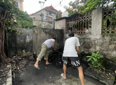 boi chăm chỉ