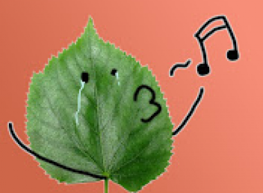 Sing Leaf - 2024-09-28 22:27:06