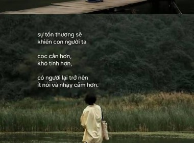 dã bị tổn thw r