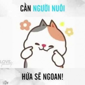 Hứa ngoan mà :))