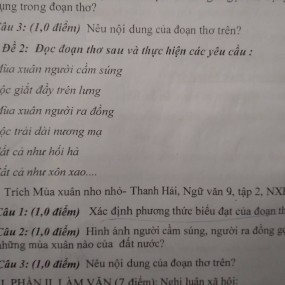 Đỗ Thị Mỹ Lệ - 2020-08-31 08:12:30