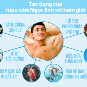 Rượu sâm Ngọc Linh là thượng dược dành cho quý ông