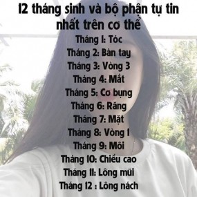 Bây h mk sẽ giới thiệu sơ về 12 cung hoàng đạo cho mn nhé !