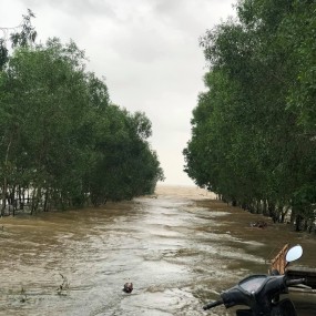 quê tôi mấy bạn ạ :((