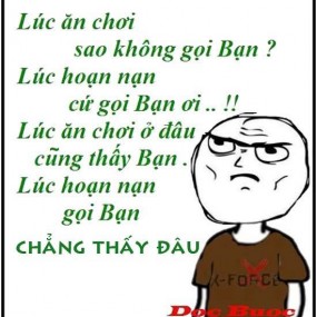 tình bạn là j ?