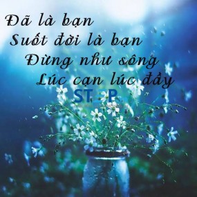 tình bạn là j ?