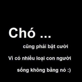 *•.¸♡hà♪thị♪län♪hươnġᵛᶰシ - 2020-11-19 13:01:58