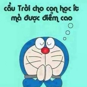 lí do tôi được điểm cao