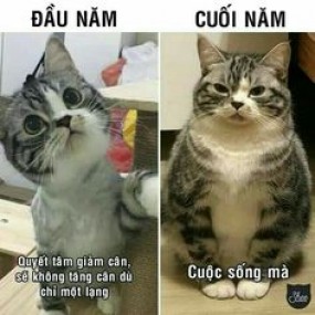 Cuộc sống mà :<