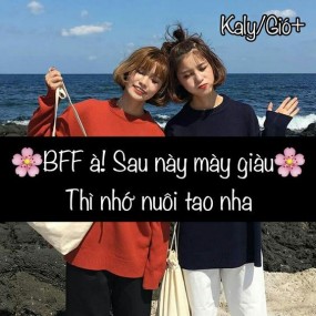 Gửi tới BFF