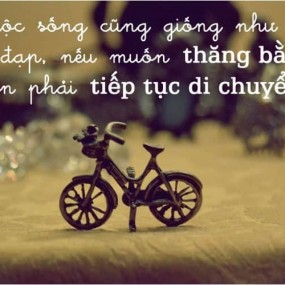 ~Cuộc sống mà ~