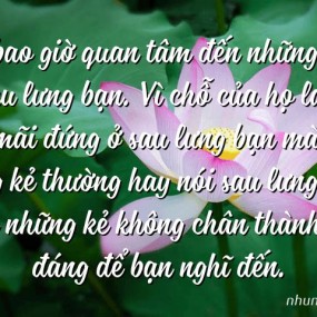 Gửi ...