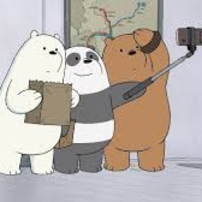 WE BARE BEARS