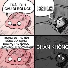 Chúc bé ngủ ngon~