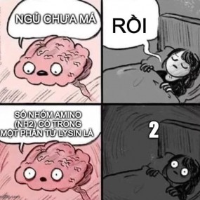 Chúc bé ngủ ngon~