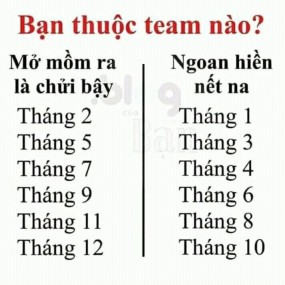 mn thuộc team nào zậy