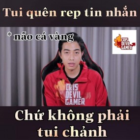 Một chút về Crisdevilgamer