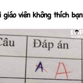 Làm đúng cx bị soi :((((