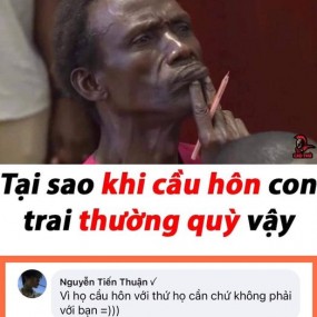 ôi hoàng tử !