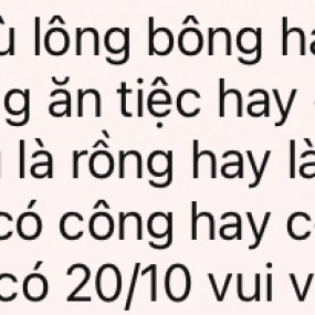 Chúc các chị em vui 20-10 :)