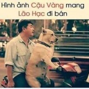 ảnh hài , truyện cười qua tranh