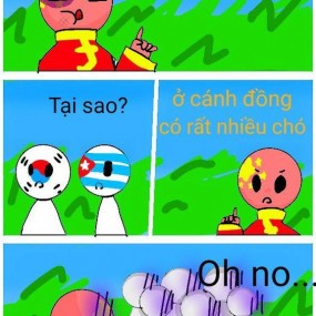 Countryhumans truyện