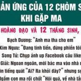 CÁc bạn cung nào tháng mấy?(Mấy cái kia ko ảnh nên đăng lại!)