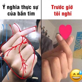 ý nghĩa của bán tim ko phải ai cũng bt:>>