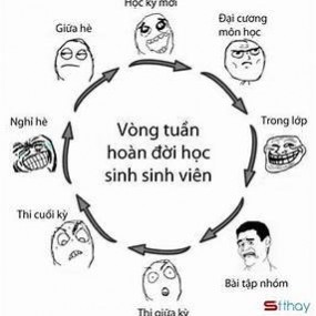 vòng tuần hoàn của học sinh